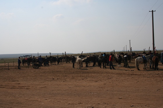 呼倫貝你接待中心