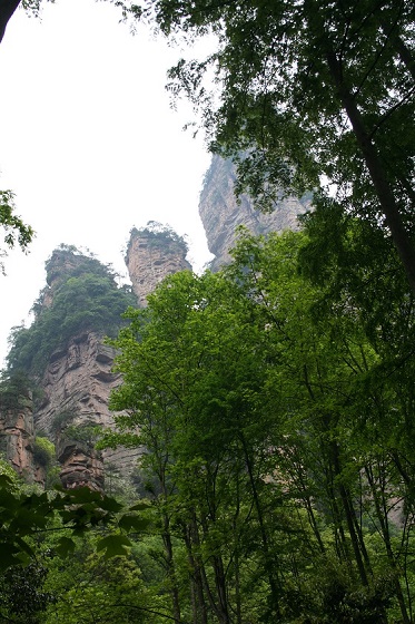 張家界~金鞭渓精品遊覧線