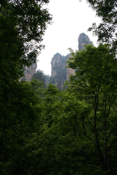 張家界~金鞭渓精品遊覧線